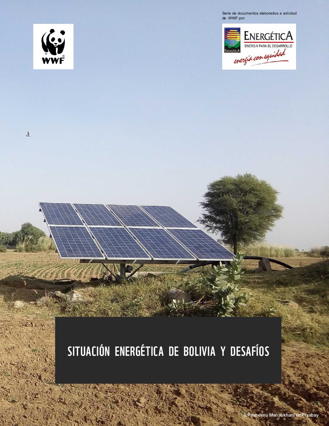 Situación Energética de Bolivia y Desafíos