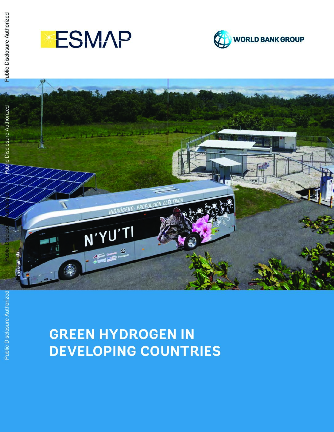 Green Hydrogen in Developing Countries
