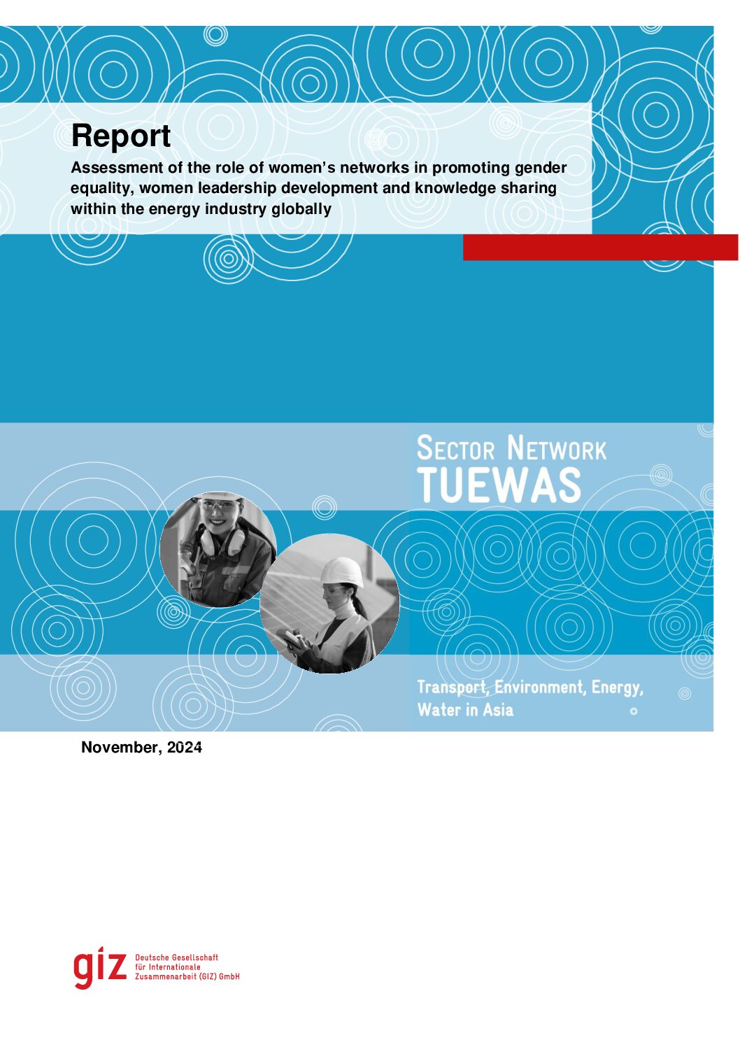 Assessment of the role of women’s networks in promoting gender equality, women’s leadership development and knowledge sharing within the energy industry globally
