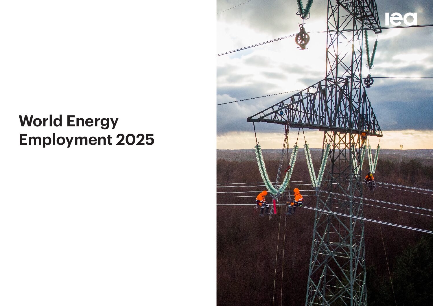 World Energy Employment 2025
