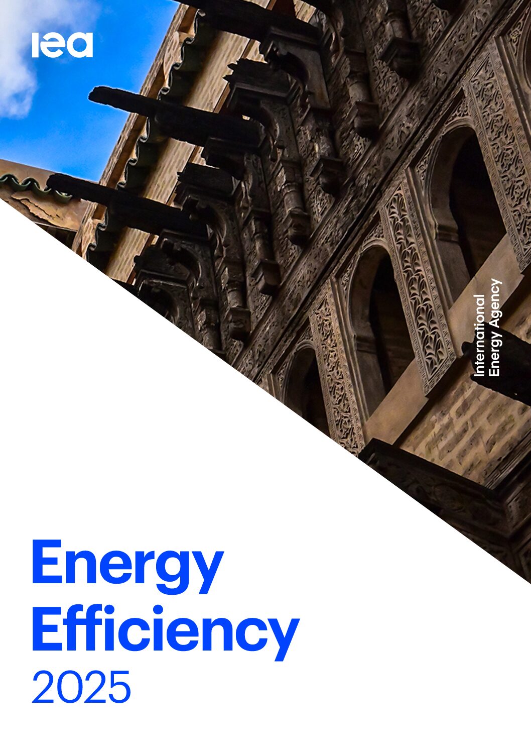 Energy Efficiency 2025