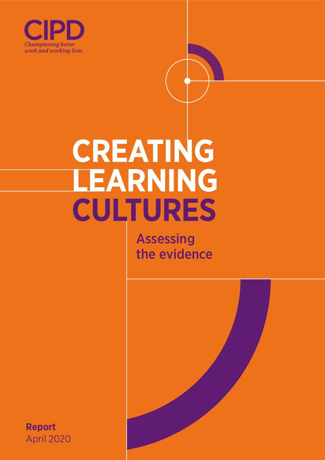Creating learning cultures: assessing the evidence